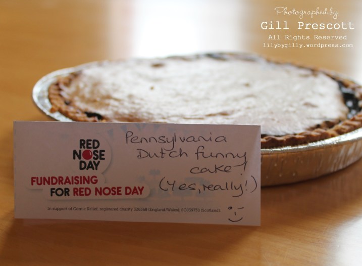 Red nose day Pennsylvania Dutch funny cake