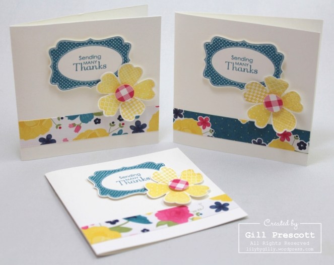 Gingham thank yous set